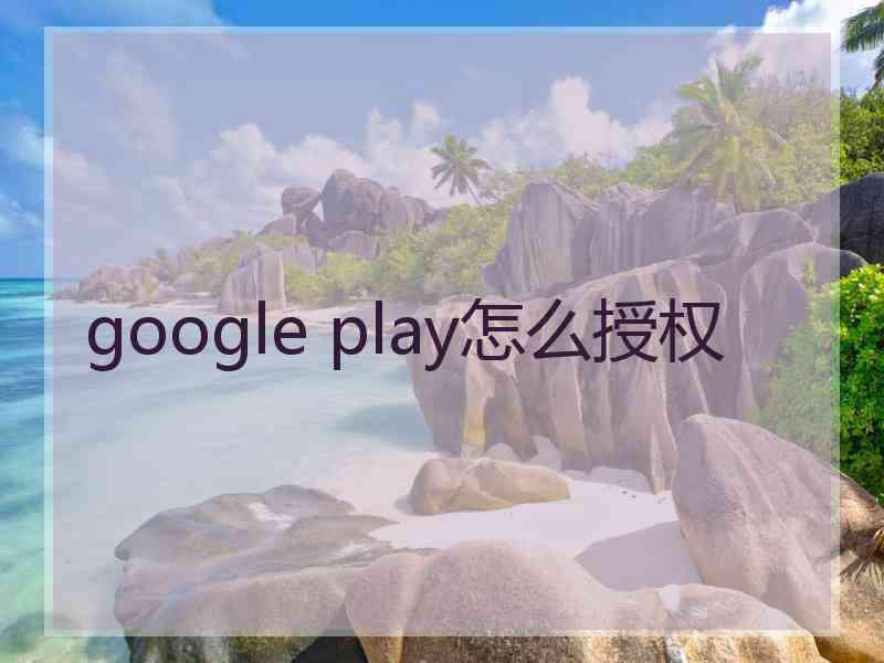 google play怎么授权