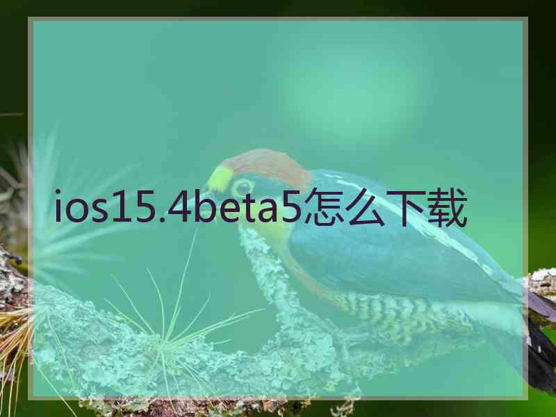 ios15.4beta5怎么下载