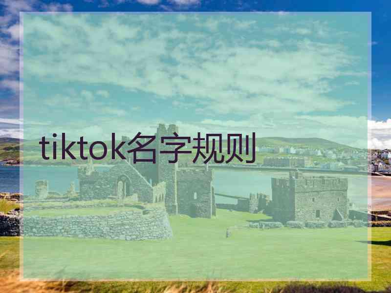 tiktok名字规则