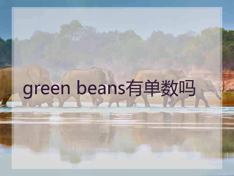 green beans有单数吗