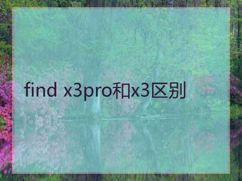 find x3pro和x3区别