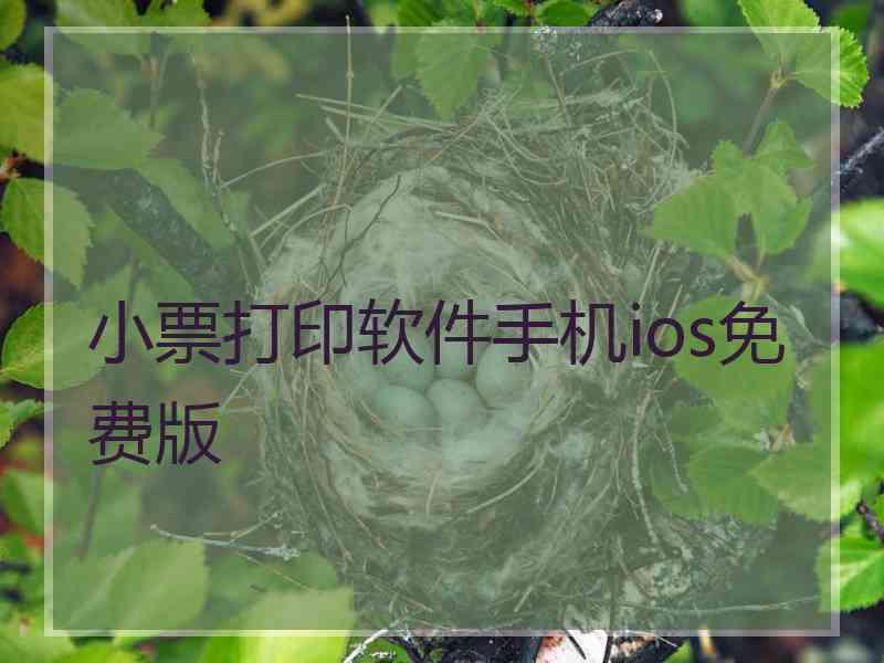 小票打印软件手机ios免费版