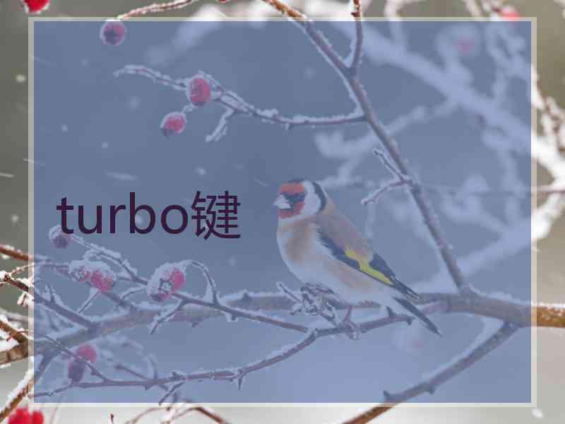 turbo键