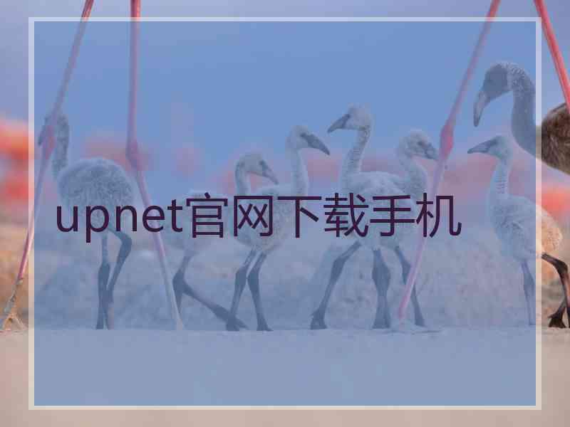 upnet官网下载手机