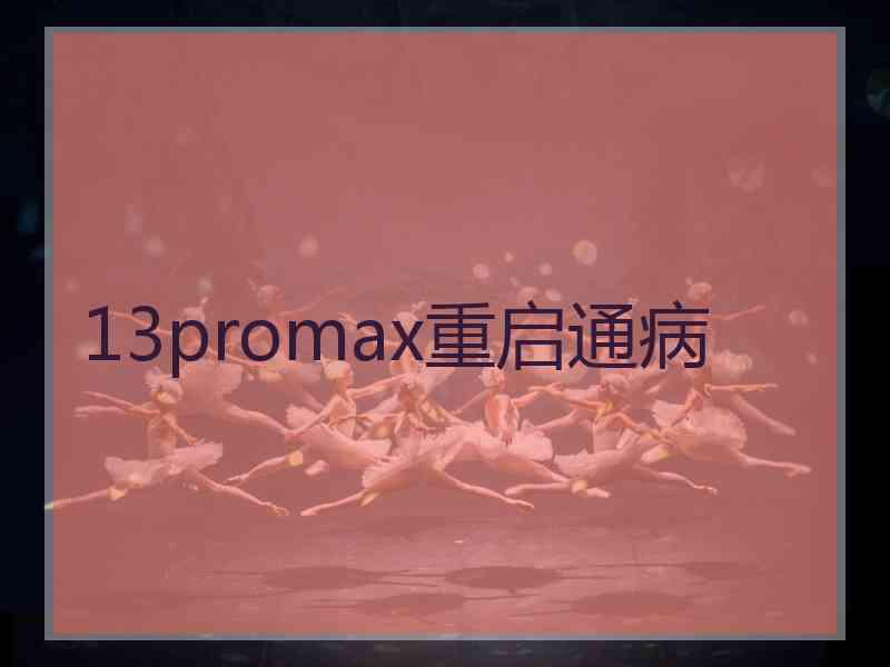 13promax重启通病