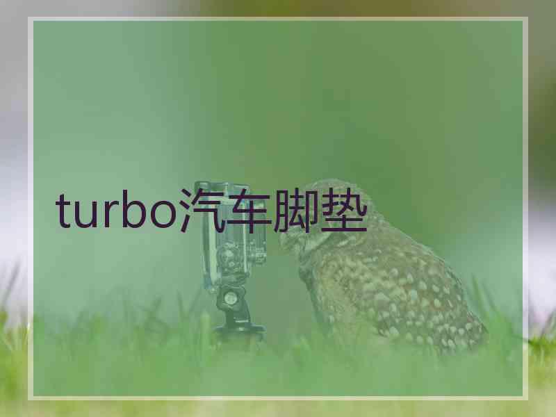 turbo汽车脚垫