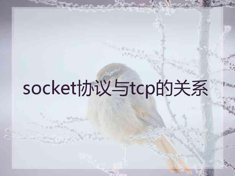 socket协议与tcp的关系