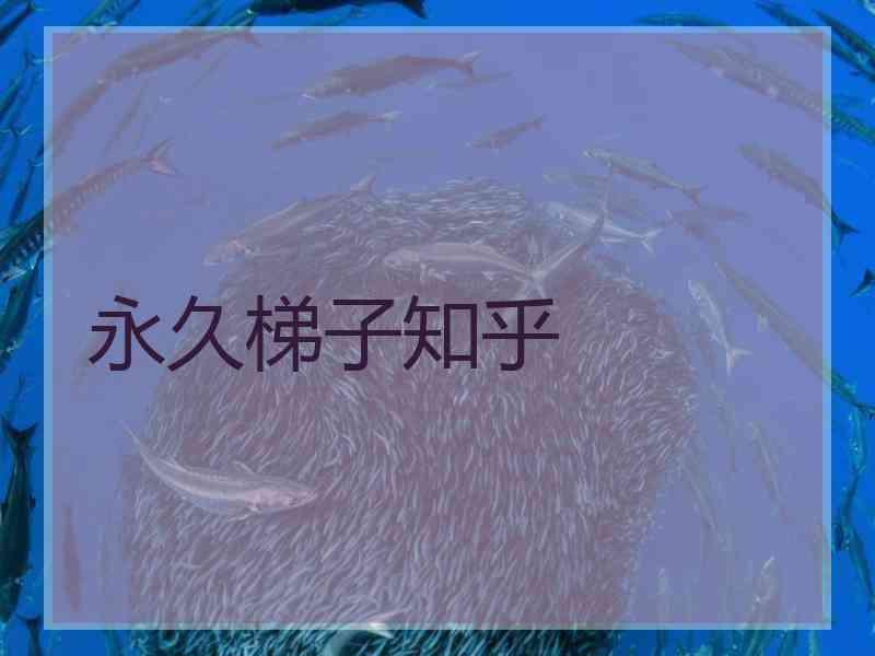 永久梯子知乎