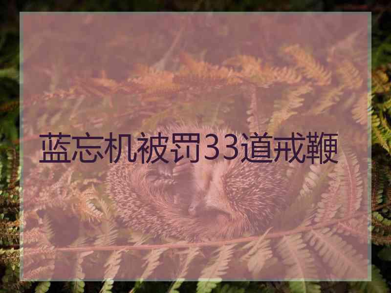 蓝忘机被罚33道戒鞭