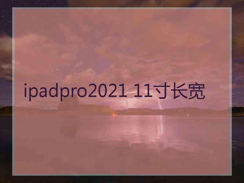 ipadpro2021 11寸长宽