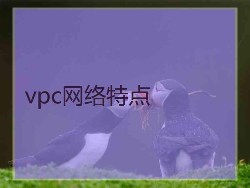 vpc网络特点