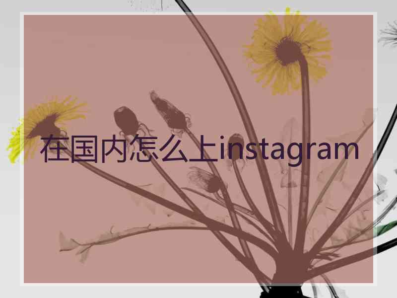 在国内怎么上instagram