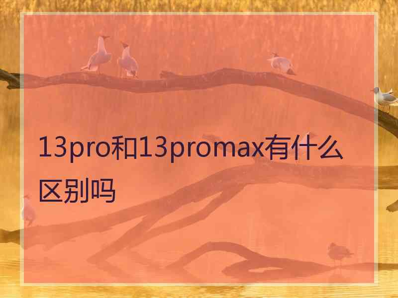 13pro和13promax有什么区别吗