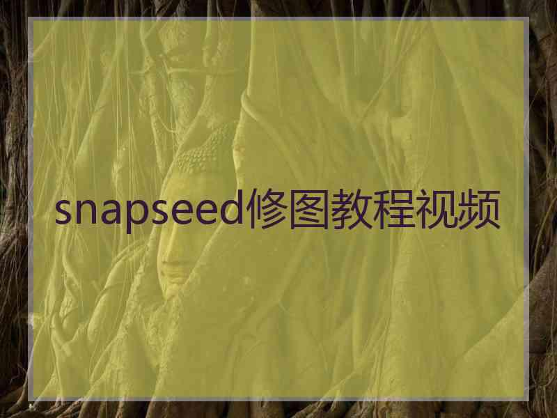 snapseed修图教程视频