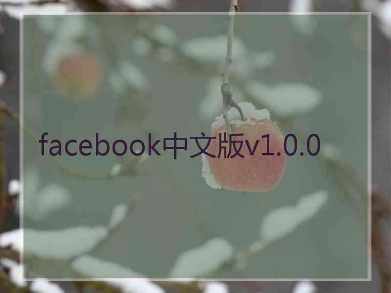 facebook中文版v1.0.0