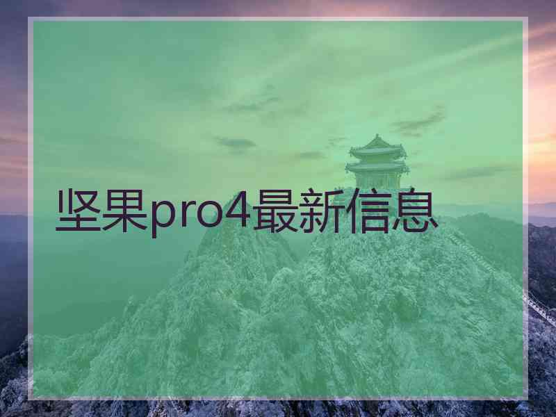 坚果pro4最新信息