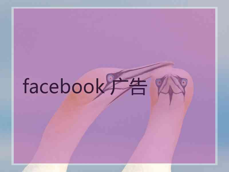 facebook 广告