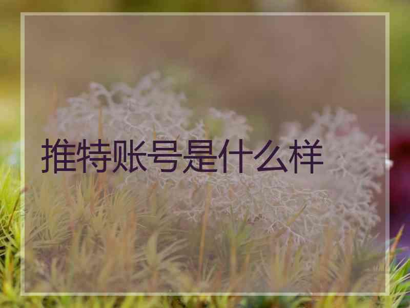 推特账号是什么样