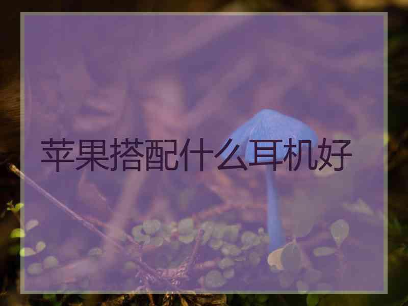 苹果搭配什么耳机好