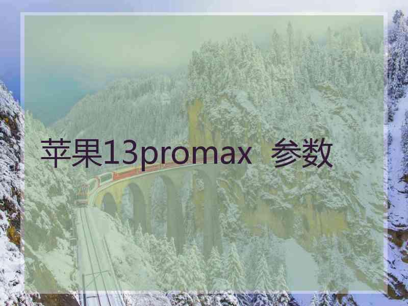 苹果13promax  参数