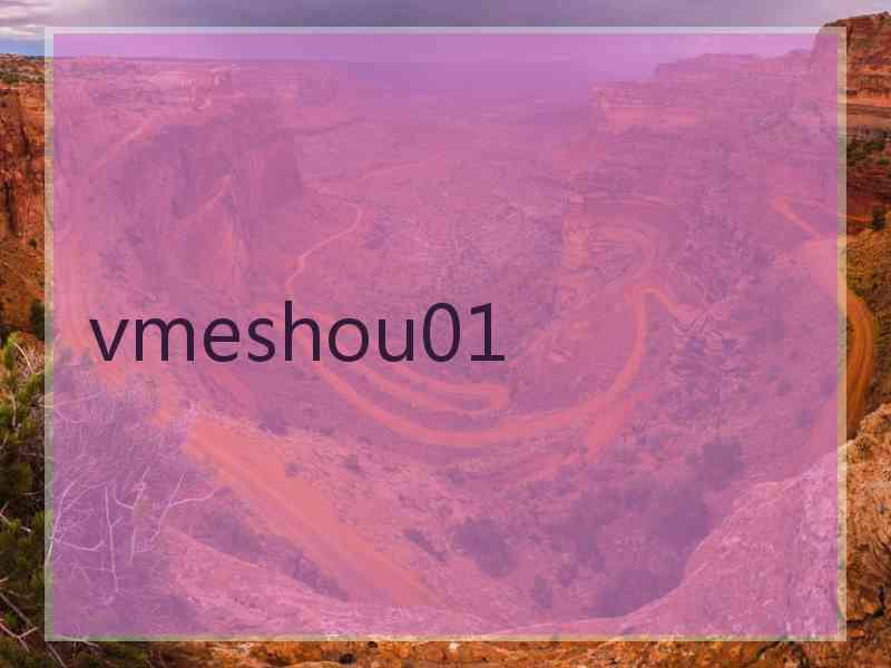 vmeshou01