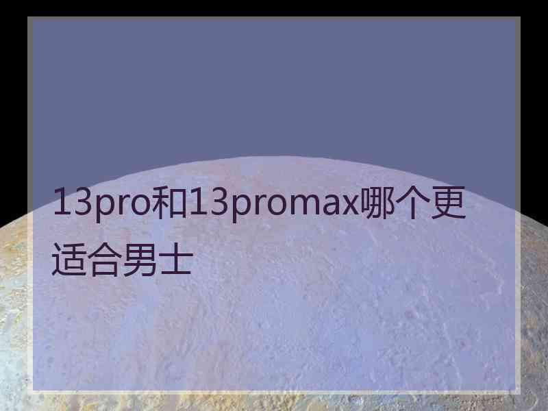 13pro和13promax哪个更适合男士