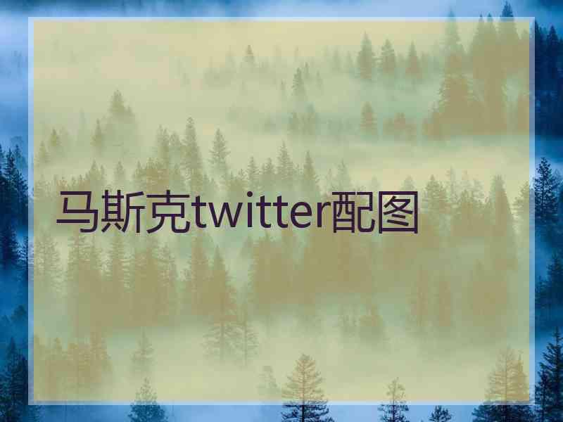 马斯克twitter配图