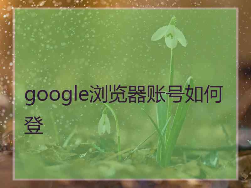 google浏览器账号如何登