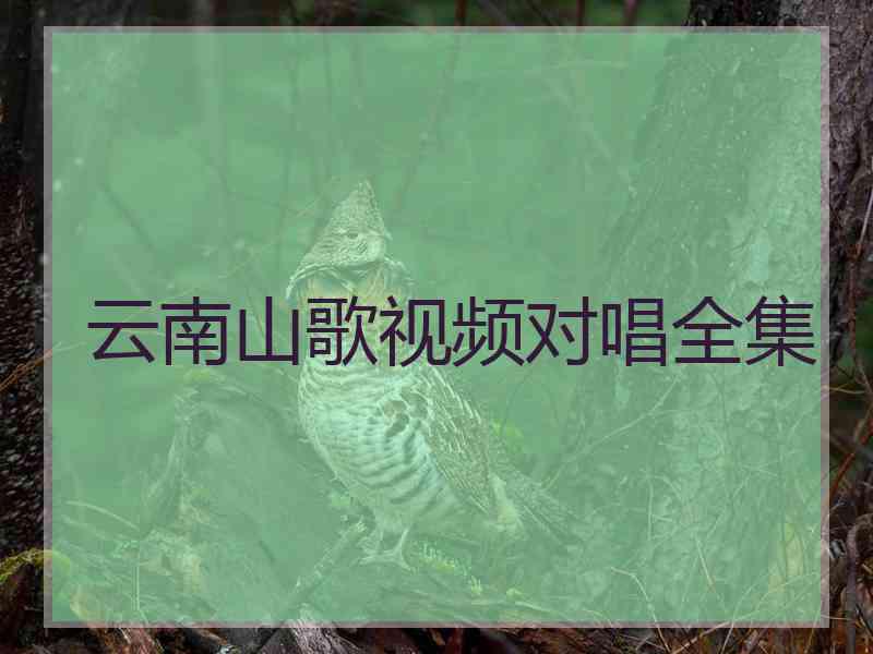 云南山歌视频对唱全集