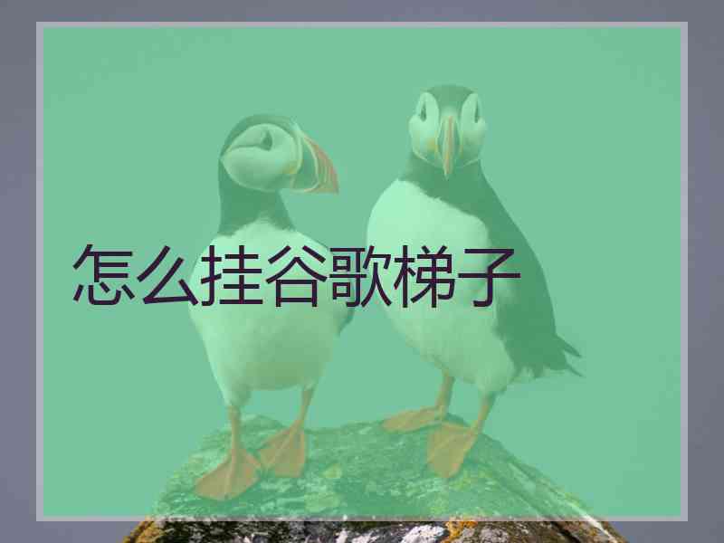 怎么挂谷歌梯子