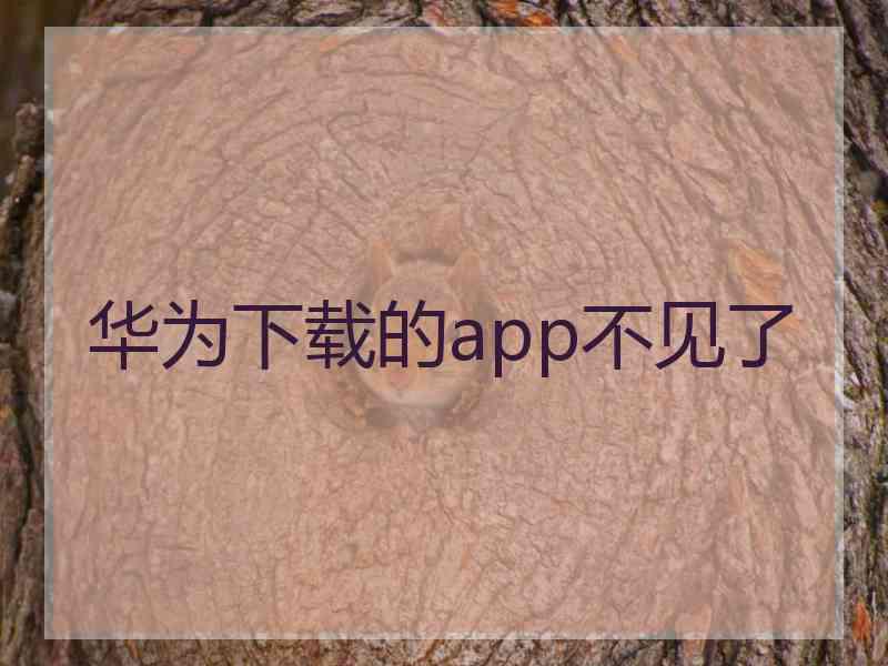 华为下载的app不见了