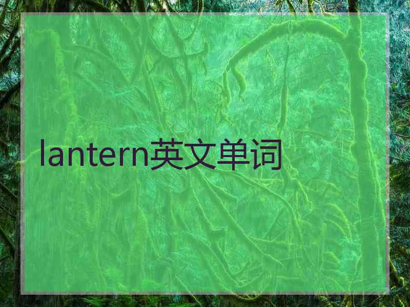 lantern英文单词