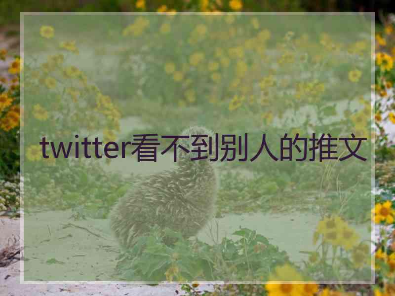 twitter看不到别人的推文