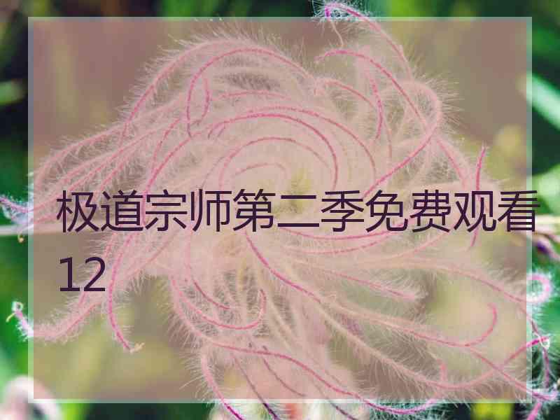 极道宗师第二季免费观看12