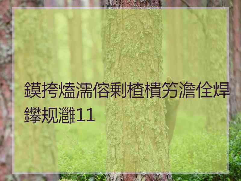 鏌挎熆濡傛剰楂樻竻澹佺焊鑻规灉11