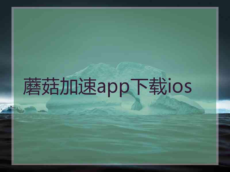 蘑菇加速app下载ios