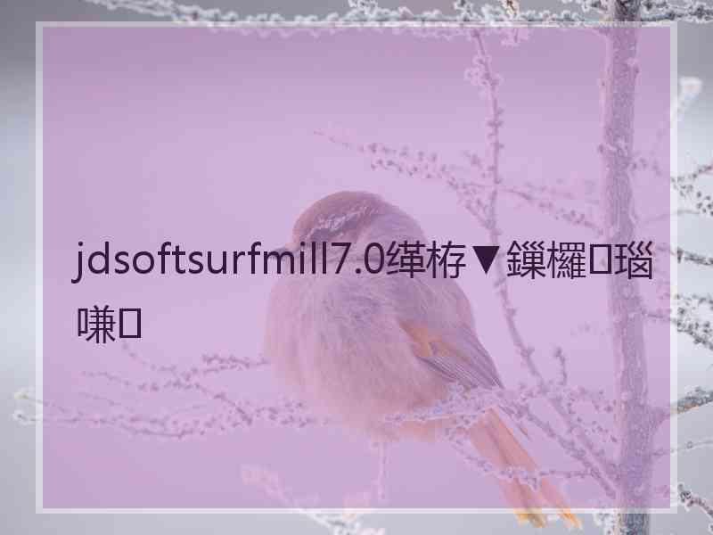 jdsoftsurfmill7.0缂栫▼鏁欏瑙嗛