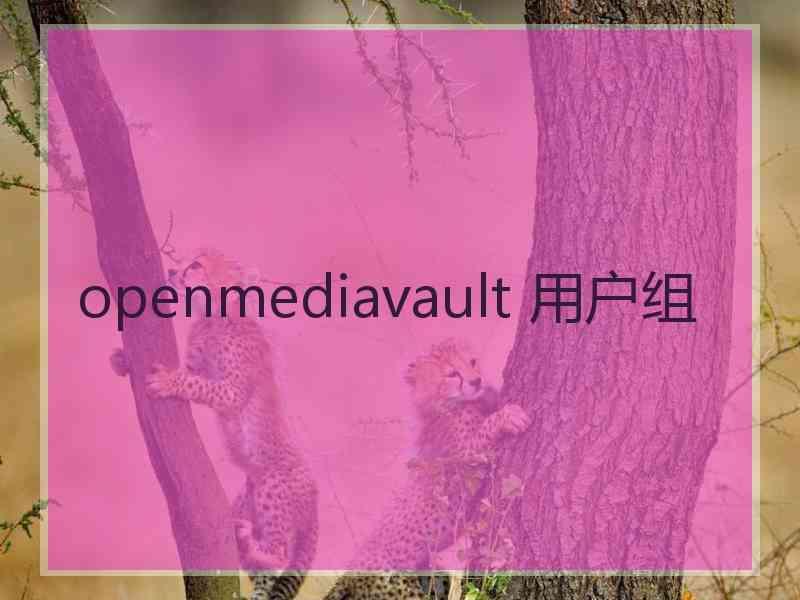 openmediavault 用户组