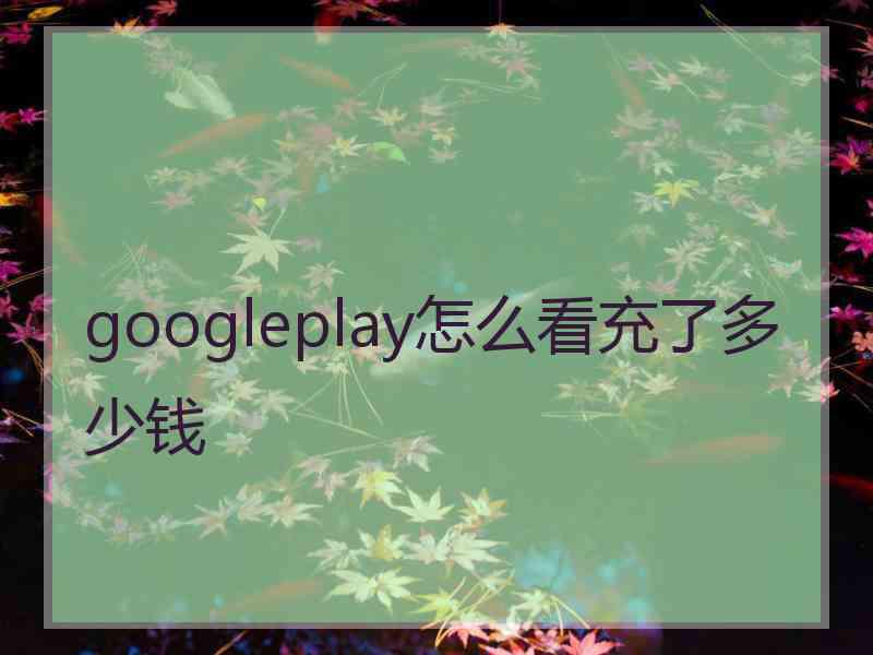 googleplay怎么看充了多少钱