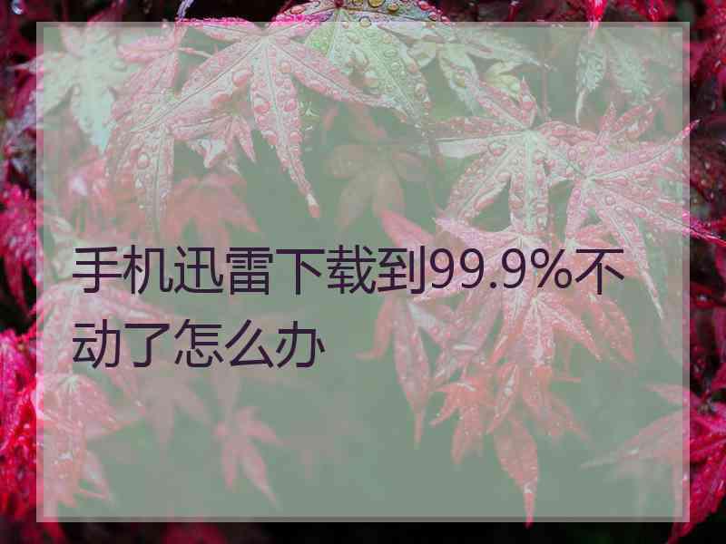 手机迅雷下载到99.9%不动了怎么办