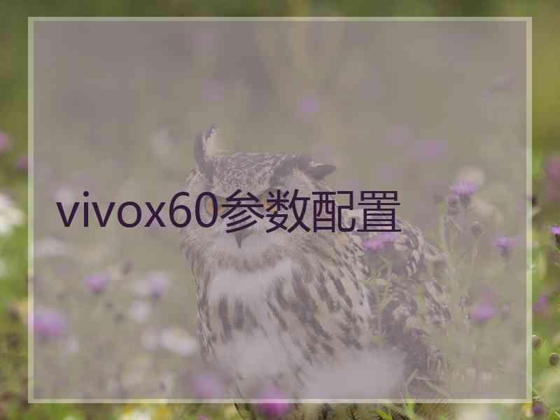 vivox60参数配置