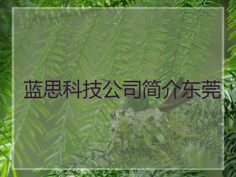 蓝思科技公司简介东莞