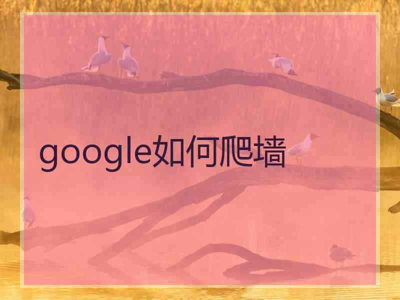 google如何爬墙