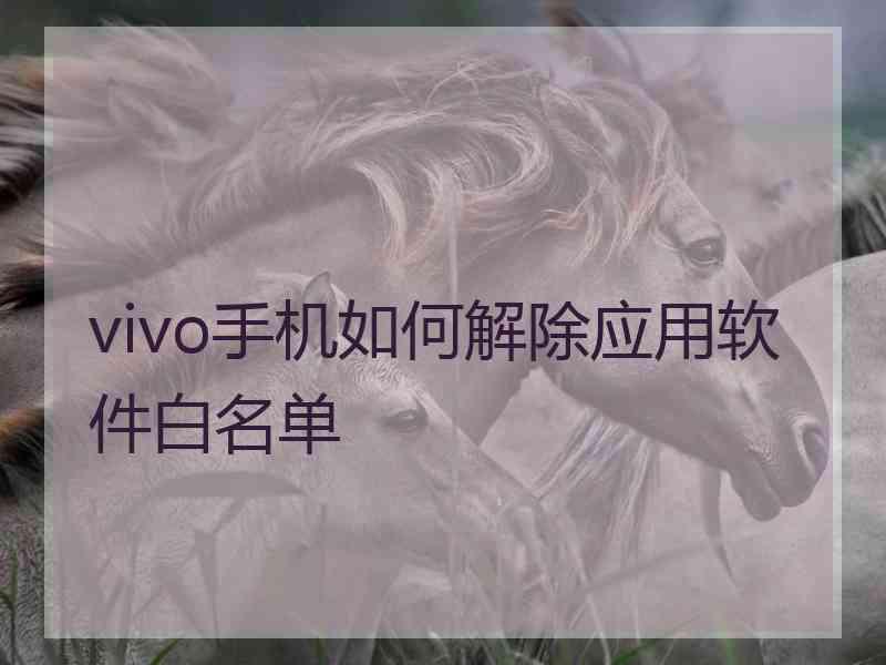 vivo手机如何解除应用软件白名单