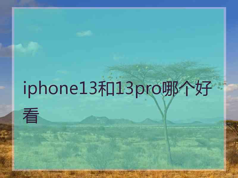 iphone13和13pro哪个好看