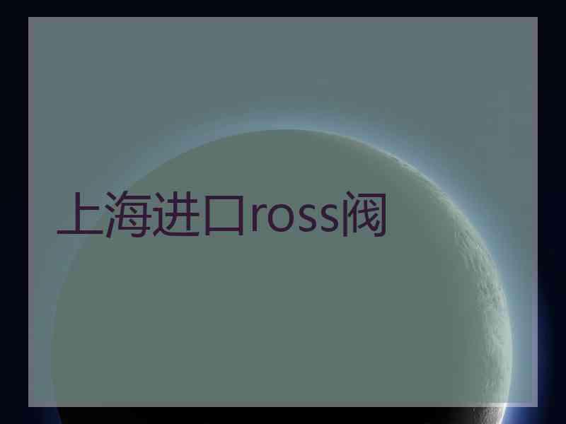 上海进口ross阀