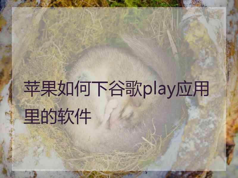 苹果如何下谷歌play应用里的软件