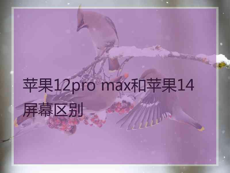 苹果12pro max和苹果14屏幕区别