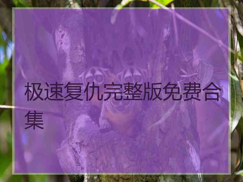 极速复仇完整版免费合集