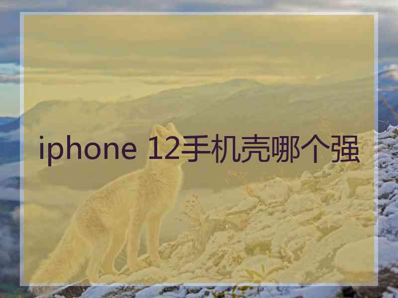 iphone 12手机壳哪个强